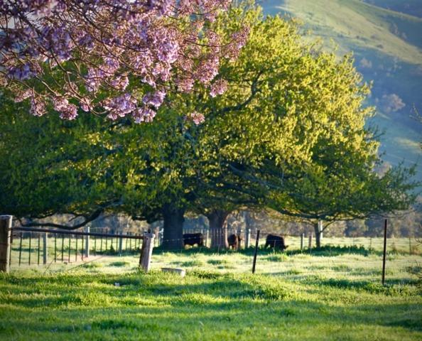 Alexandra Farmstay Eksteriør billede